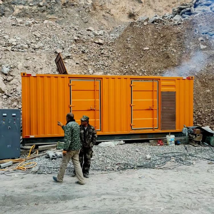 普定如何选择适合自己的 800KW 柴油发电机组？