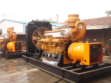 普定发电机组的频率规格是如何确定的？